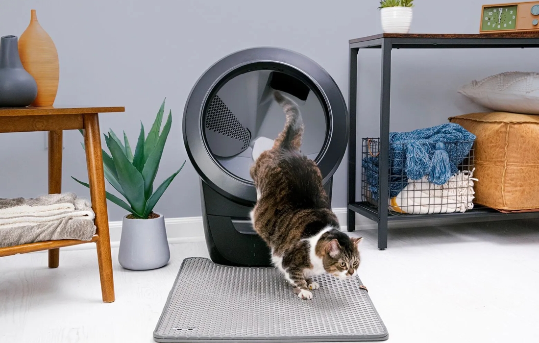 6 Best Accessories For A Cat Litter-Robot