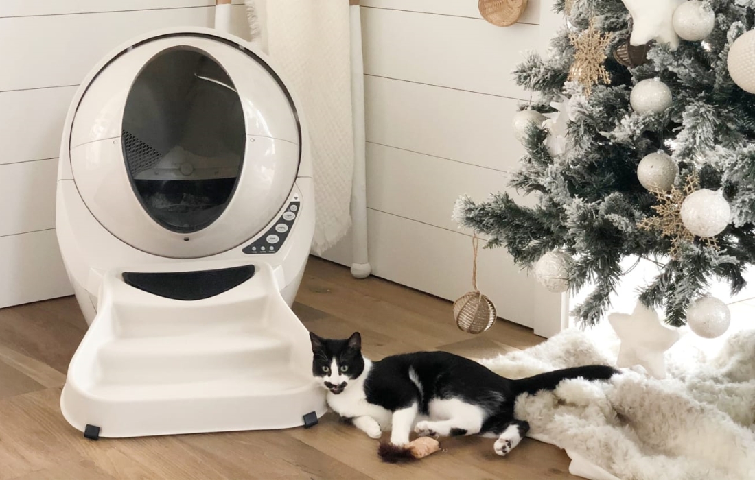 6 Cat Litter Robot & Parts To Make Clean And Comfortable