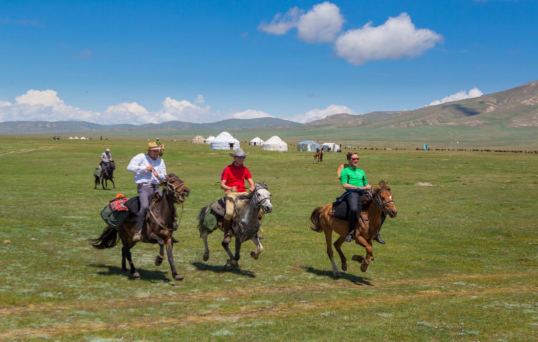 7 Essential Equestrian Riding Gear