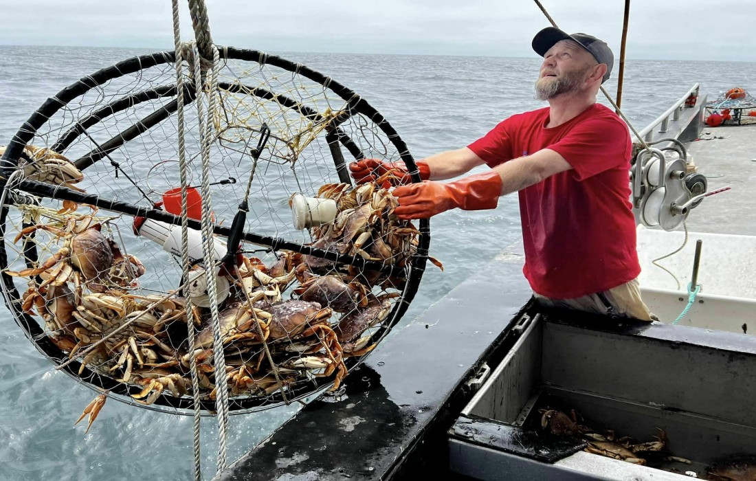 Gear Up For Fishing Success With These 8 West Marine Tools