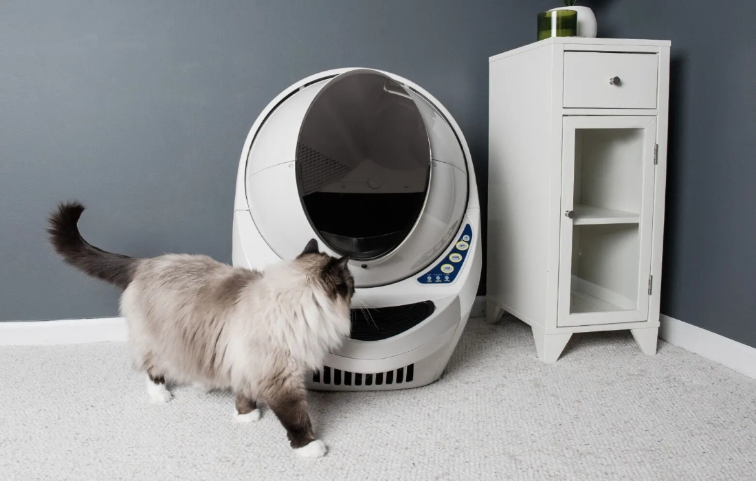 Reconditioned Trash Robots To Get Rid Of Your Litter Box